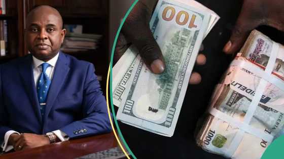 “The only way”: Moghalu speaks on solution to naira's free fall as one dollar sells above N1,300