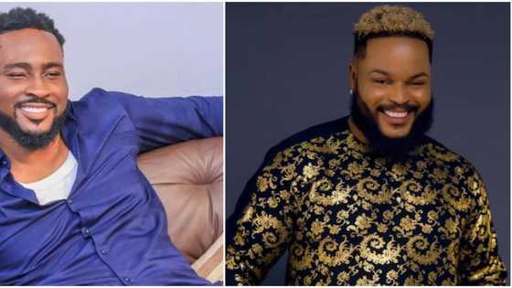 BBNaija: Pere calls other housemates dumb and lazy, reassigns kitchen duty to ladies as he removes Whitemoney