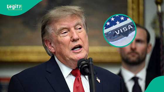 US announces 5 things citizens of 43 visa waiver countries need before ESTA application