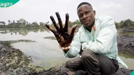 Nanotechnology breakthrough raises hope of long-standing Niger Delta environmental damage