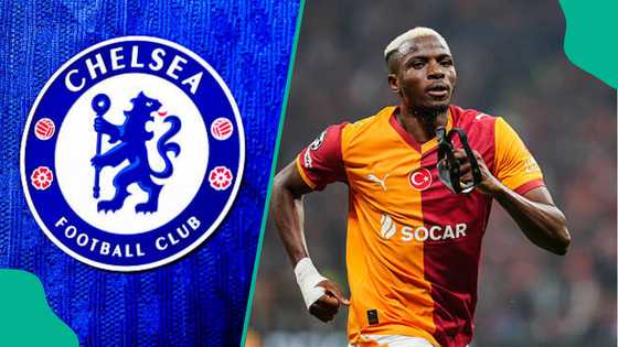 Victor Osimhen back on Chelsea’s radar after Blues make transfer U-turn