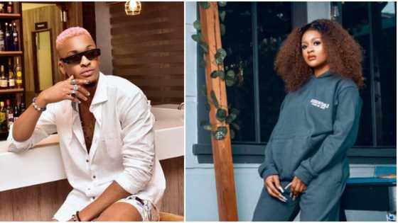 "Maybe breakfast don set": Nigerians react as Phyna blasts fans for always wanting her to be with Groovy