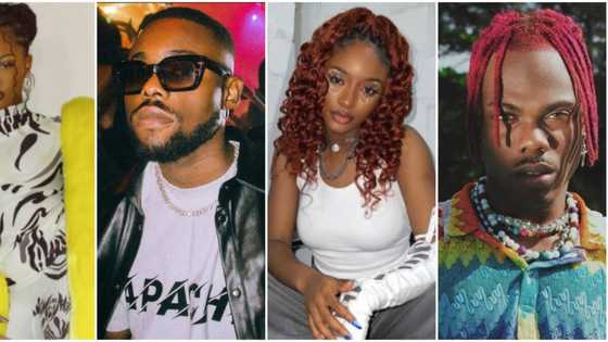 Tems, Lojay, Ayra Starr, Victony, other fast rising acts that might taker over the music industry this year