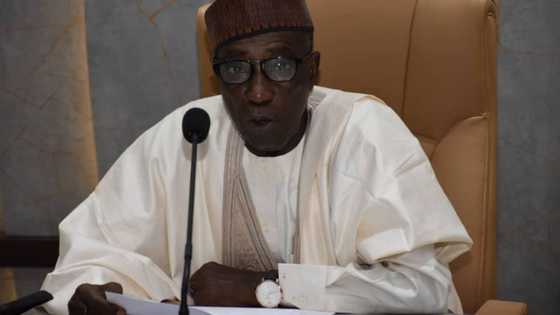 Nigeria’s food system is weak, vulnerable to shock - FG admits, unveils plan to stop sugar importation