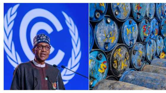Report says Nigeria rakes in N1.4 trillion from oil in February