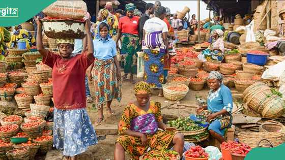 Nigerians breathe sigh of relief as food prices decline across markets nationwide