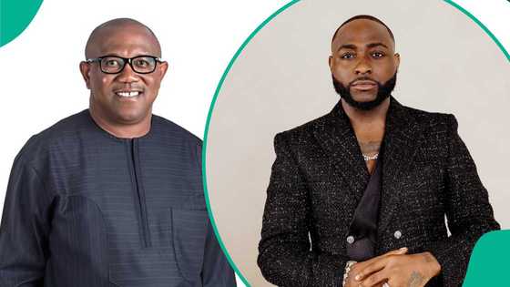 2027 election: Did Davido endorse Peter Obi? Fact emerges