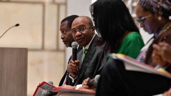 Tserewa Zai Yi: Gwamnati Ta Haskawa Kotu Hadarin Bada Belin Godwin Emefiele