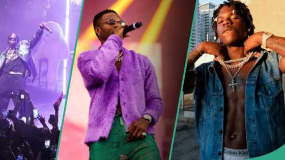 "We don’t scream sold out no more, it’s now a norm": Rema brags after another successful show, clip trends