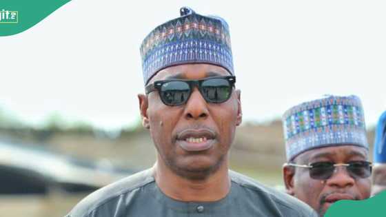 Why repentant Boko Haram terrorists can’t return to killings, Borno gov opens up