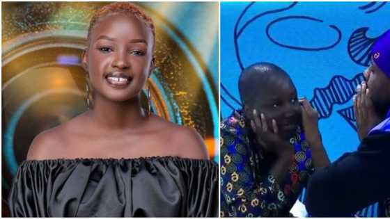I don't want to go but I am ready: Saskay tells Cross as Biggie puts up 15 housemates for eviction