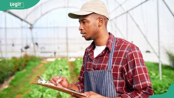 Best career opportunities in agriculture in Nigeria and the courses to select
