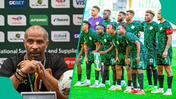 Eric Chelle hints at his biggest ‘challenge’ in taking over the Super Eagles job