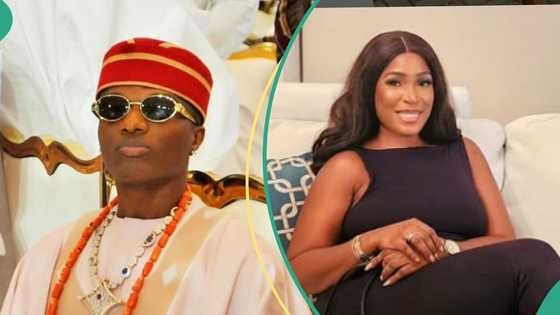 Wizkid vs Linda Ikeji: Fans dig out old post showing how singer trolled blogger years back