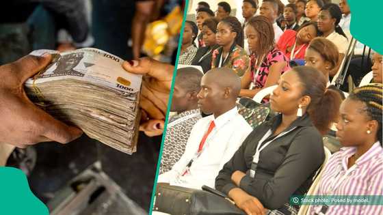 Nigerian bank kicks off verification for YEIDEP grant disbursement of N50,000 - N500,000