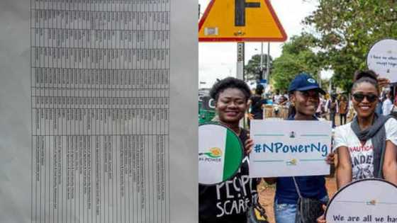 After Legit.ng's report, FG set to reinstate forcefully exited N-Power beneficiaries