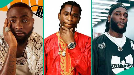 “All that energy I wasted on Davido, I should have channelled it on Burna Boy”: Speed Darlington