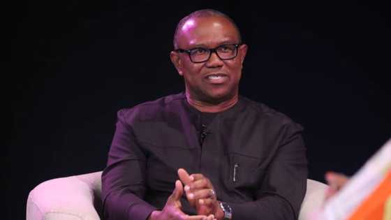 Nigeria has more poor people than China and India combined - Peter Obi