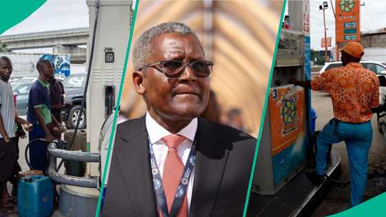 Price war between Dangote refinery, major marketers cost petrol retailers billions in 2025 — PETROAN