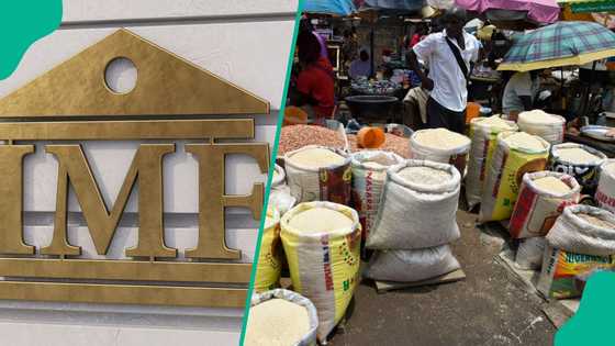 IMF forecasts Nigeria's economy to grow faster in 2026, sends strong warning to govt