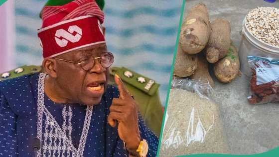 BREAKING: Tinubu’s govt seals off top Abuja store amid rising food prices, details emerge