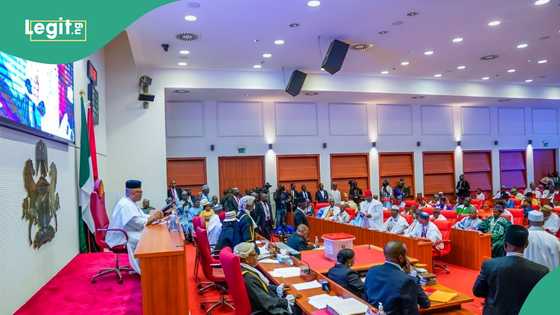 Uproar in Senate over appointment of non-indigene as Rivers electoral commission chairman