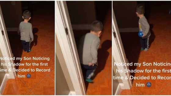 Video shows funny moment little boy screamed in fear and tried to flee on seeing his shadow for the first time