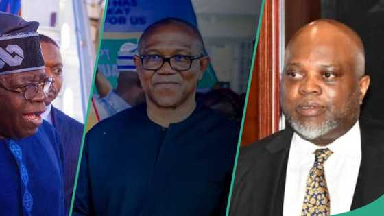 Tinubu's Special Adviser, Fasua counsels President on how to shatter Obi's challenge