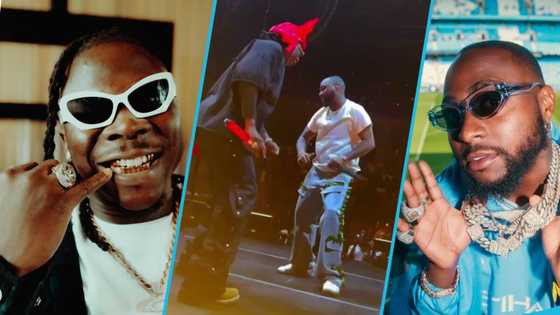 Stonebwoy joins Davido at his sold out Timeless Concert at the Madison Square Garden, video