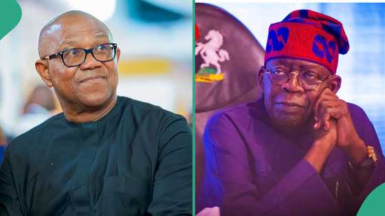 “How I would have handled Nigeria’s economy,” Peter Obi speaks