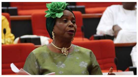 Breaking: Abiodun Olujimi pulls out of Ekiti state PDP primary election