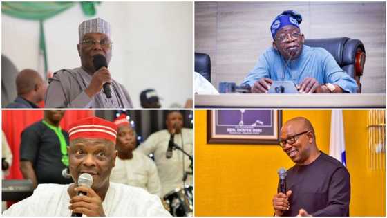 2023 presidency: New survey places Atiku, Tinubu, Kwankwaso behind Peter Obi, parties to merge with LP listed