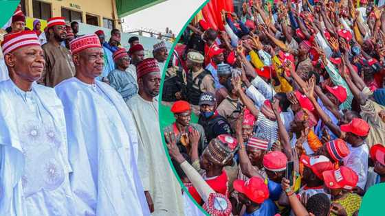 Ogun LG election: NNPP chieftain kicks against poll results