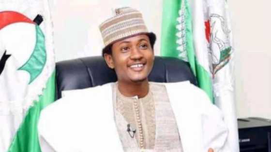 PDP convention: 25-year-old man, Muhammed Suleiman, elected youth leader