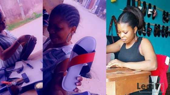 I dropped out of the polytechnic to learn shoemaking, beautiful female shoemaker tells inspiring story