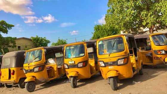 ‘Yan adaidaita sahu a Kano za su biya N100,000 don samun sabon lasisin tuki - Hukumar KAROTA