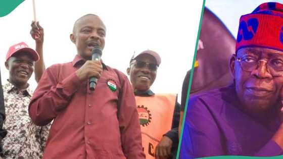 New minimum wage: Tinubu's govt told to pay N150,000 to workers, details surface