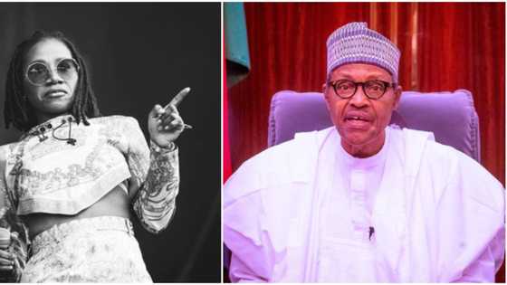 "Baba wey fit dey sleep": Reactions as Asa performs Fire on The Mountain in Buhari's presence, video goes viral