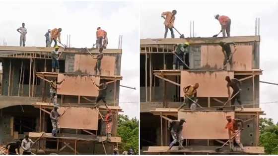 "Men at work": Happy labourers sing in joy while hustling under hot sun, video goes viral