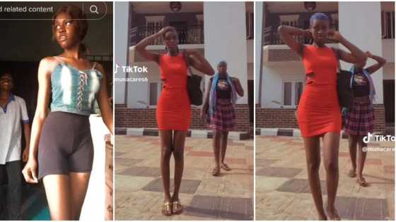 “I’m in love with your height”: Very tall Igbo lady in short red gown causes stir online with viral video