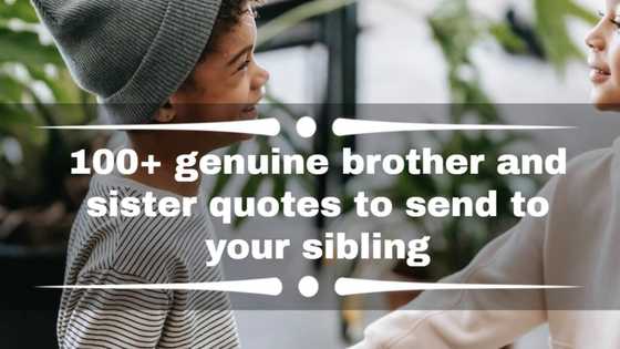 100+ genuine brother and sister quotes to send to your sibling