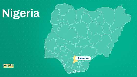 Violence strikes Ifite: Seven lives lost in shooting near Nnamdi Azikiwe University
