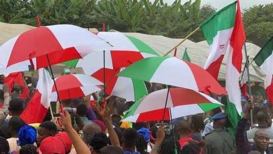 Ekiti election: After Anambra loss, PDP issues crucial update to aspirants