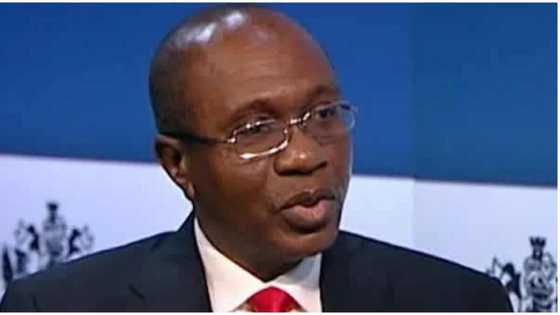 Godwin Emefiele, CBN and the Delayed Launch of eNaira by Onyema Dike