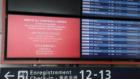 EasyJet boss hits out over French air traffic walkouts