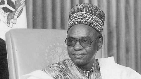 How Shagari’s plan for Nigeria's development was aborted - APGA chairman mourns