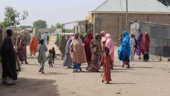 Sallah: Bandits free 4 kidnapped victims after 67 days as gift to northern community