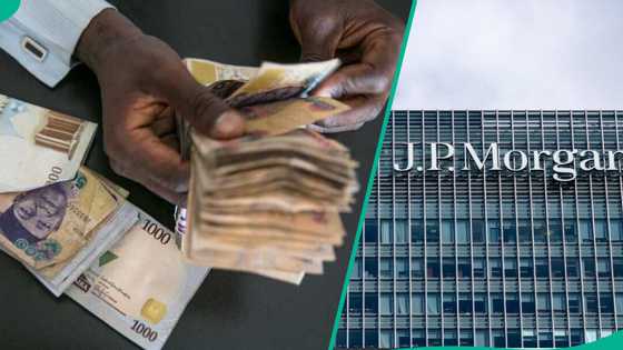 JP Morgan gives reasons naira's fall against US dollar is reasonable