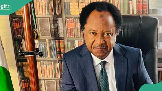 Shehu Sani discloses 11 ‘situations’ that unite Nigerians