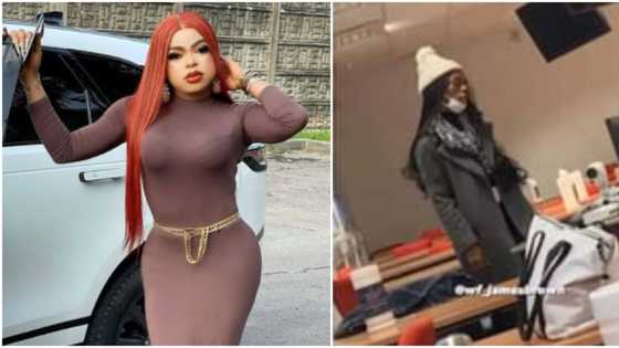 Which better UK school operates in winter? Bobrisky trolls James Brown hard, brags about finishing from UNILAG